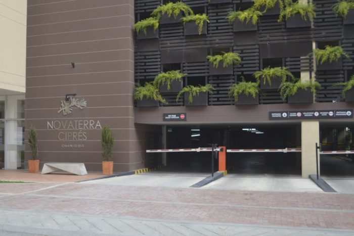 Dorago_y_Parra_cipres